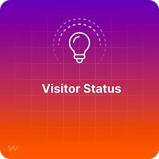 What is Visitor Status?