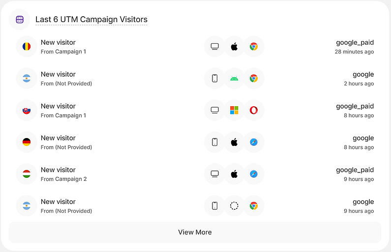 Overview of Latest Campaign Visitors