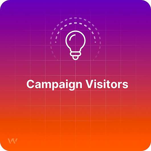 What are Campaign Visitors?