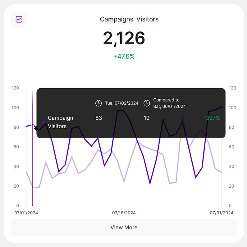 Overview of Campaigns' Visitors