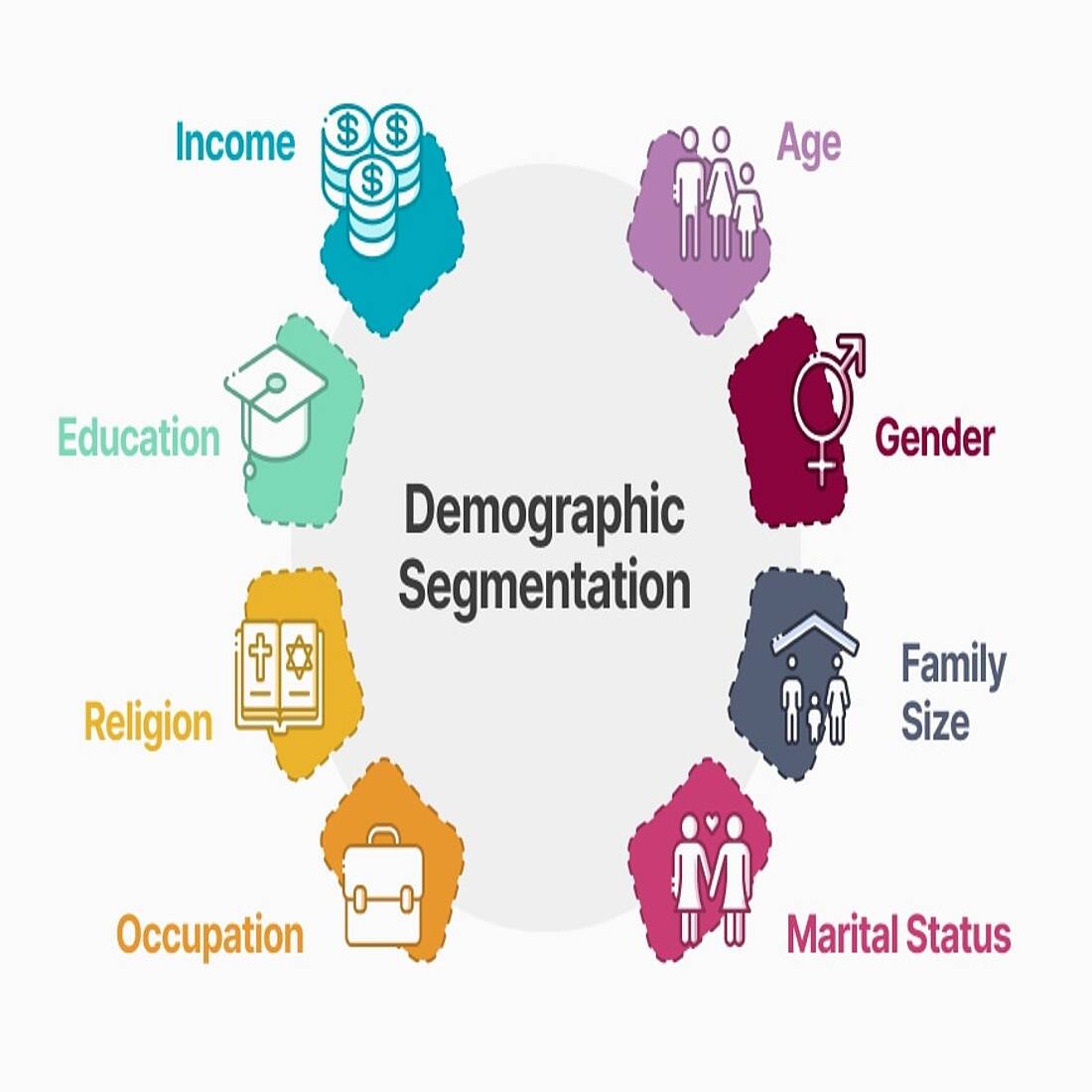 Graphic showing the different demographic segments