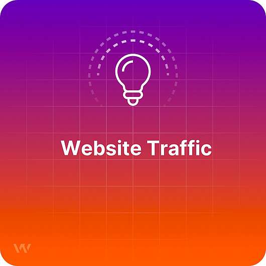 What is Website Traffic?