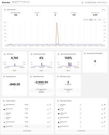 Wie eCommerce Analytics aussieht