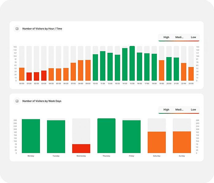 Visitors - traffic frequency charts - TWIPLA Website Intelligence