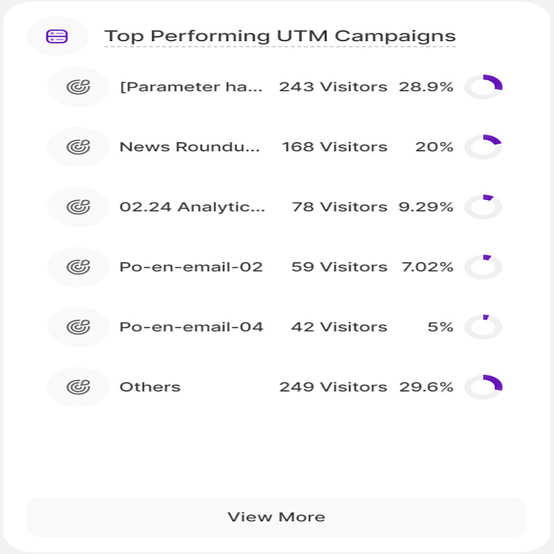 Overview of the Top Performing UTM Campaigns