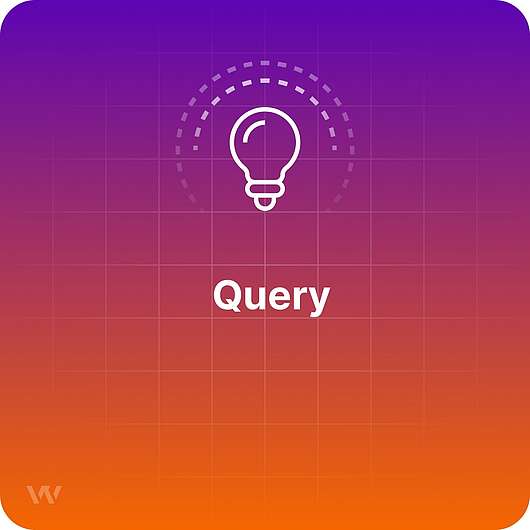 What is a Query