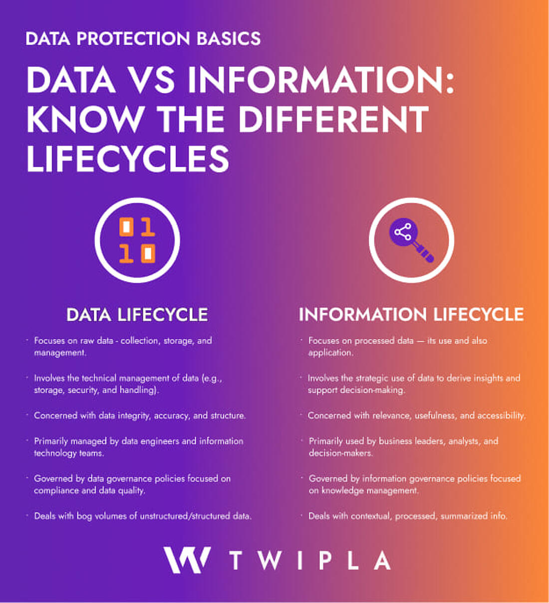 An infographic comparing the data and infographic lifecycles