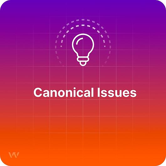 What are Canonical Issues?