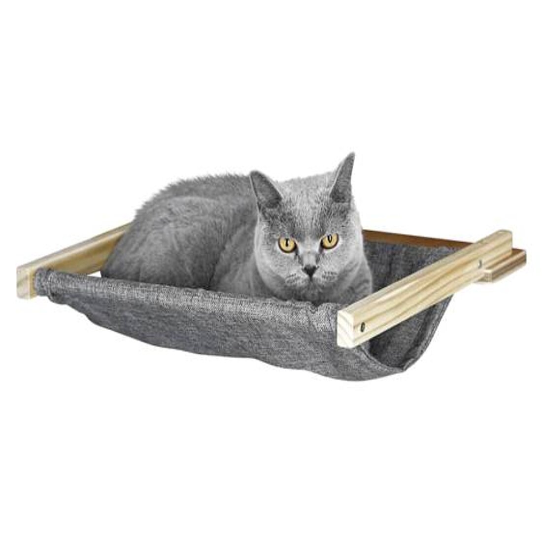 Cat sleeping in hammock Cat sleeping in hammock