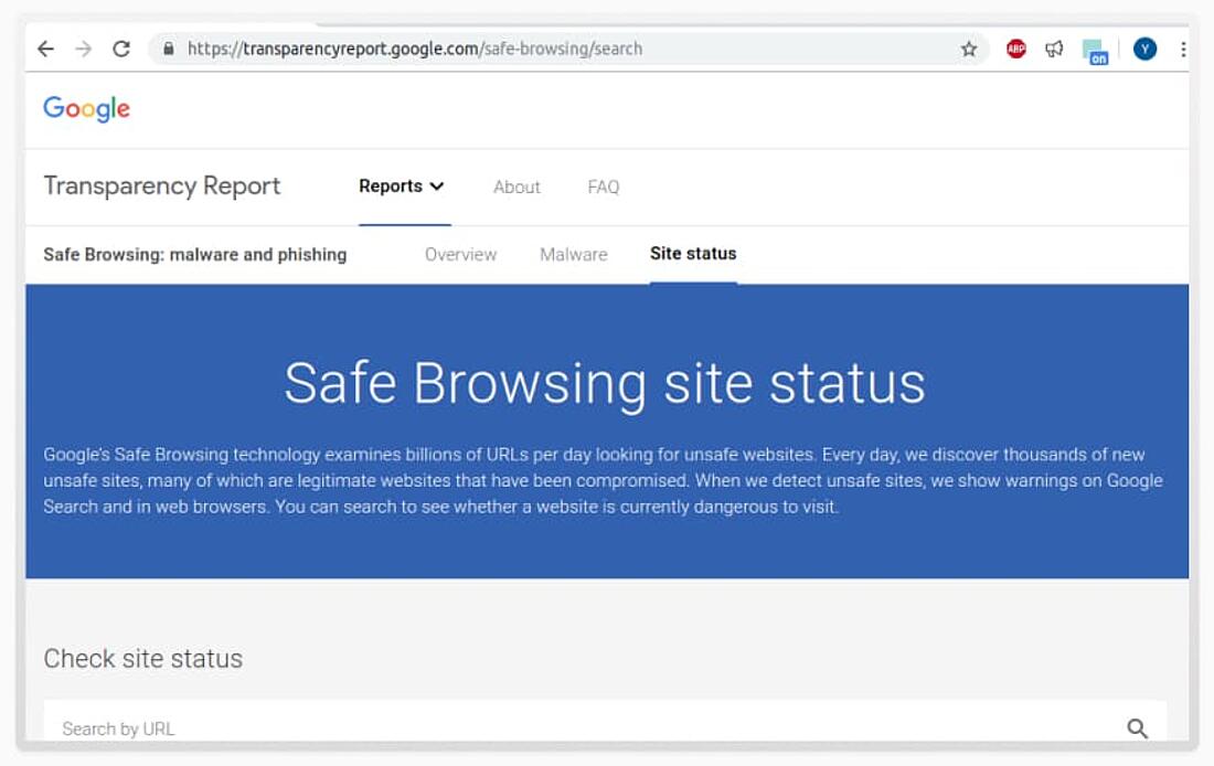 Google Safe Browsing interface