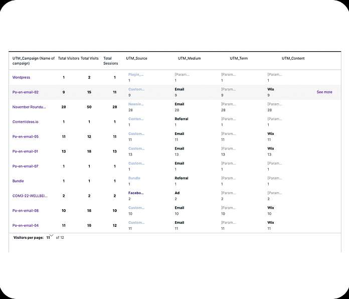 UTM campaigns - analyze individual campaigns - TWIPLA Website Intelligence