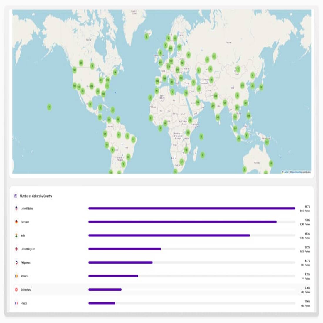 International report example