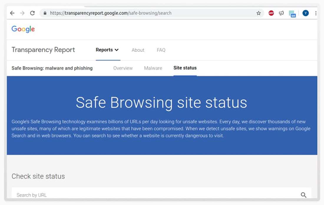 Google Safe Browsing interface