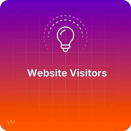 What are Website Visitors?