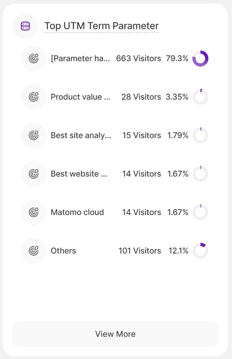 Unveiling the Top UTM Terms